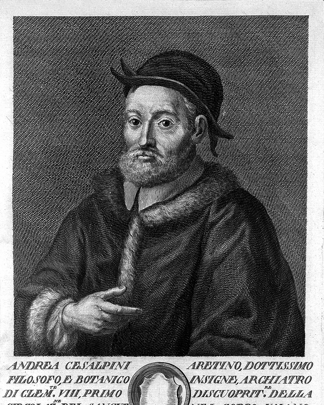 Cesalpino e la circolazione sanguigna